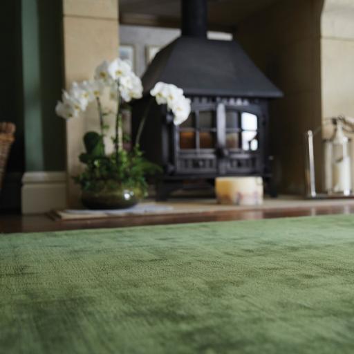 Luxury Plain Karma Guru Soft Silky Viscose Rug in Fern Green