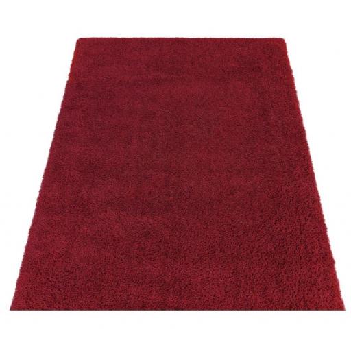 Ritchie Modern Soft Plain Thick High Pile Shaggy Rug