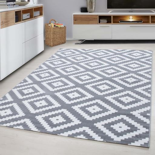 Plus 8005 Modern Contemporary Designer Grey Rug