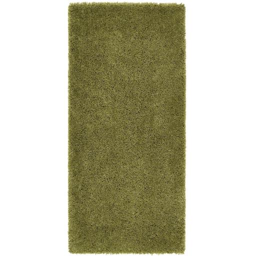 Chicago Olive Runner - Overhead.jpg