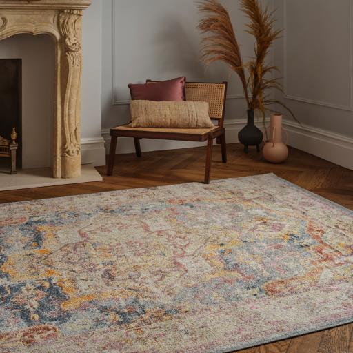 Flores Azin FR01 Traditional Bordered Elegant Medallion Rug in Multi