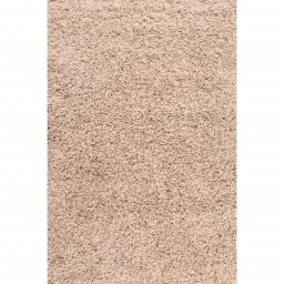 IND035-Modern-Shaggy-Style-Indulgence-Plain-Latte-Polyester-Rug-80-x-150-5 (1).jpg