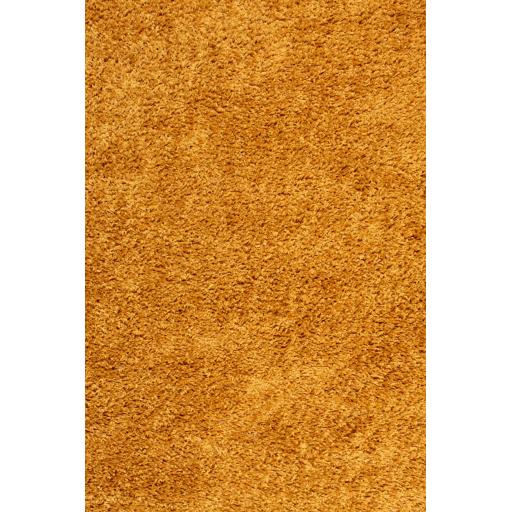 Retro Shaggy ochre overhead.jpg