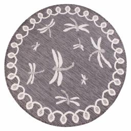 Dragonfly Grey overhead circle.jpg
