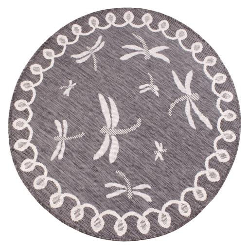 Dragonfly Grey overhead circle.jpg