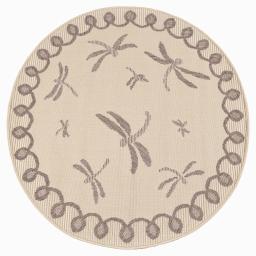 Dragonfly cream overhead CIRCLE.jpg