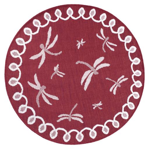 Dragonfly red overhead circle.jpg