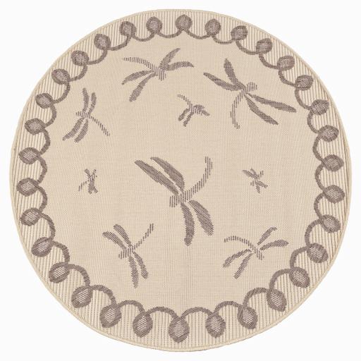 Dragonfly cream overhead CIRCLE.jpg