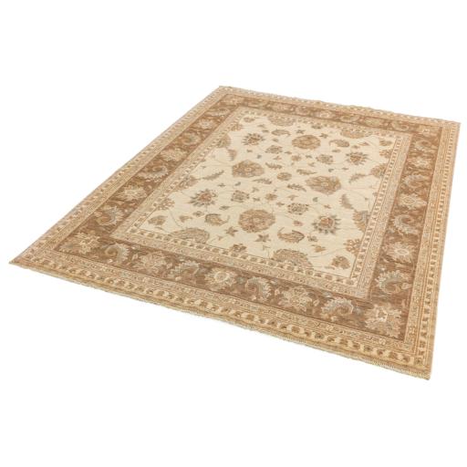 Chobi Traditional Bordered Persian Wool Rug in Beige Brown