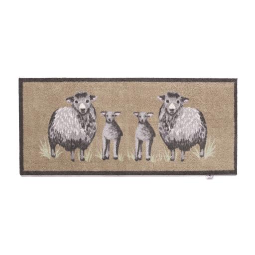 Sheep 1 Runner.jpg