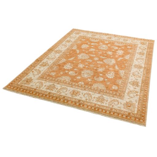 Chobi Traditional Bordered Persian Wool Rug in Terracotta