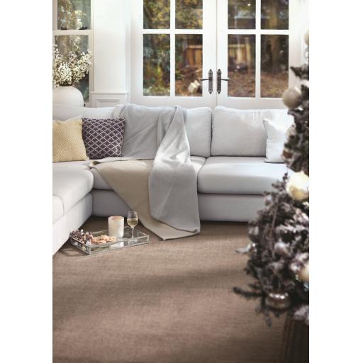 Origins Reef Modern Plain Quality Rug in Mink