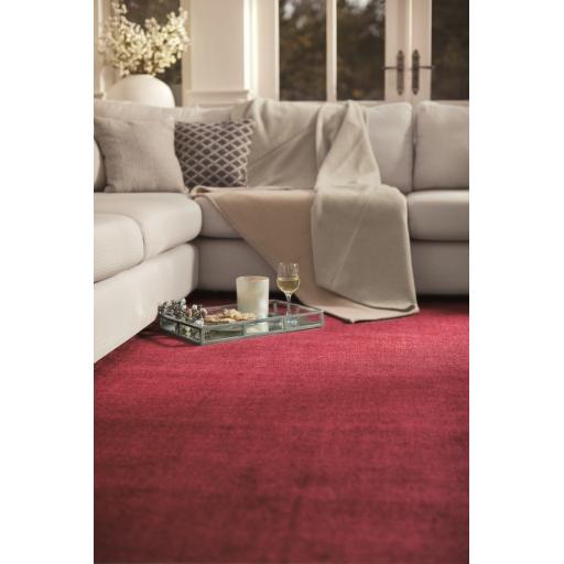 Origins Reef Modern Plain Quality Rug in Raspberry