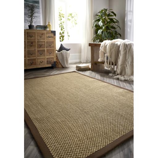 Origins Sisal Border Rug Modern Natural Jute Flatweave Hand Made Rug in Warm Natural with Dark Brown Border