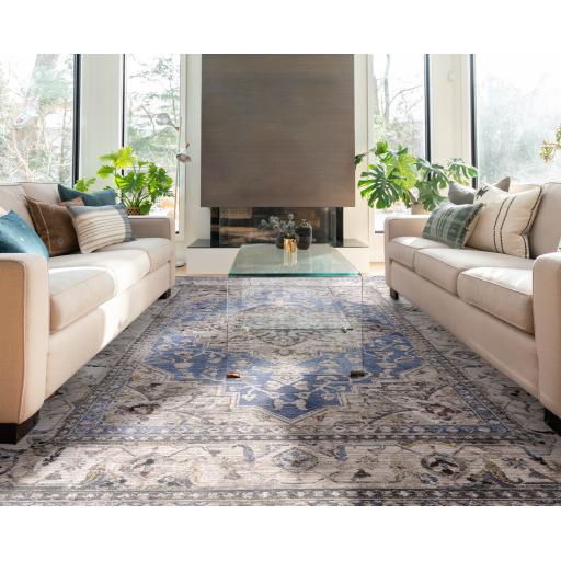 Sovereign Medallion Traditional Rug for Bedroom Living Room Flatweave Silky Shiny Rug