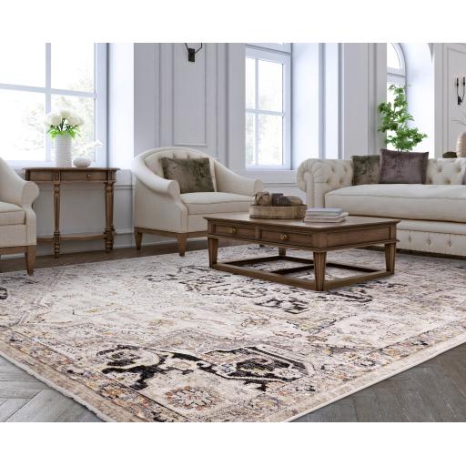 Sovereign 0002 Antique Medallion Rug_LS SQ.jpg