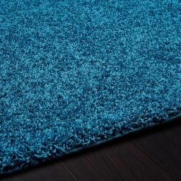 buddy-teal-washable-plain-rug-2 (1).jpg