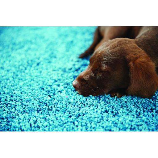 My Rug Teal L5.jpg