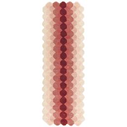 Hive Pink Runner.jpg