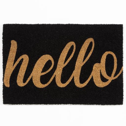 Astley Printed PVC Backed Coir 40x60cm Printed Hello Doormat