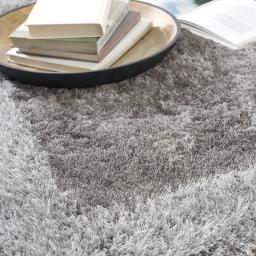 Shimmer Shaggy Border-Silver D2.jpg