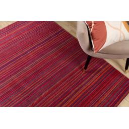 Fine Stripes Purple Pink D2.jpg