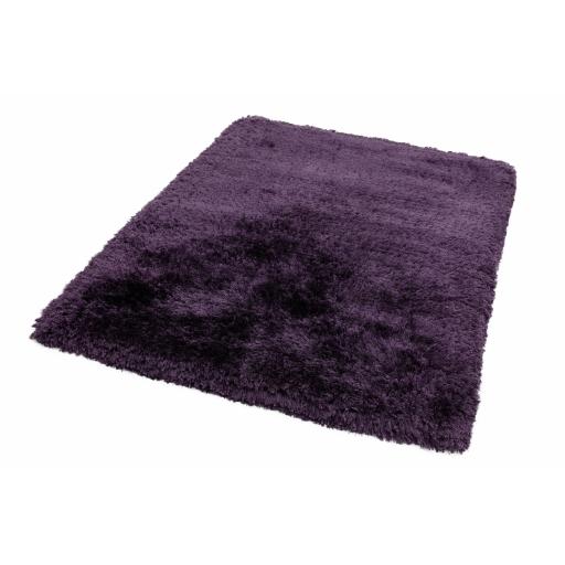 Plush Purple #3.jpg