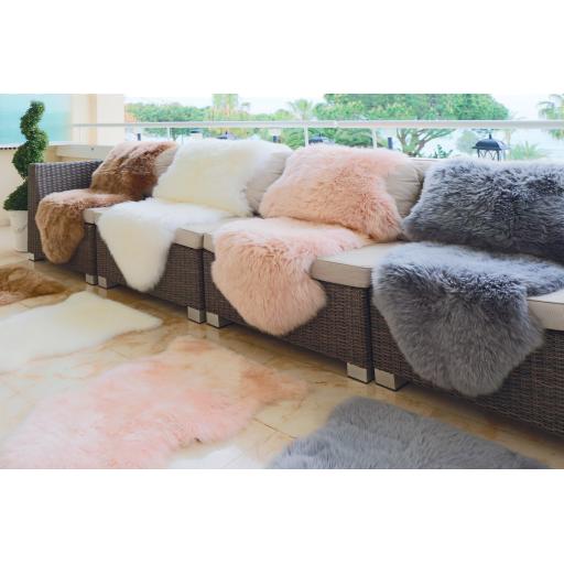 Sheepskin-full range L2.jpg