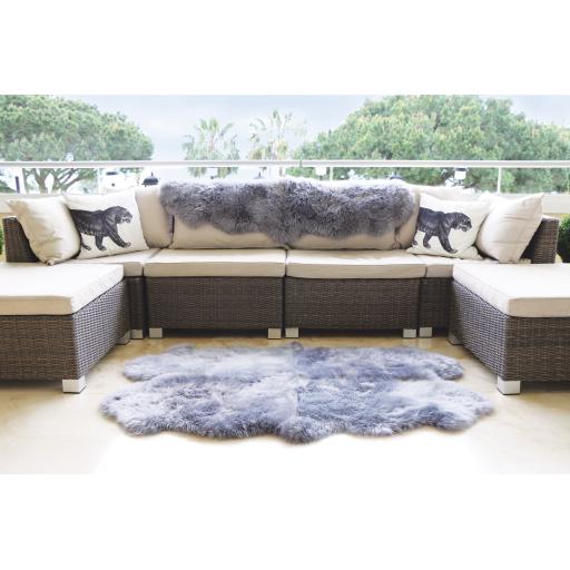 Grey quad doubleL1.jpg