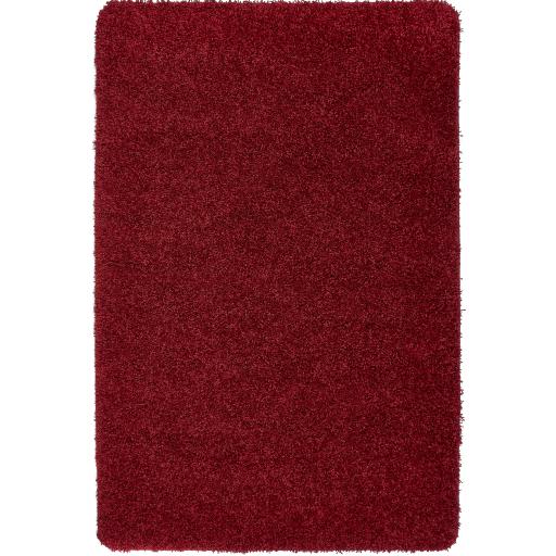 My Rug Red.jpg