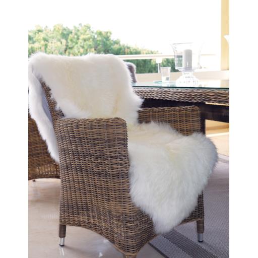 Sheepskin-Cream doubleL1.jpg