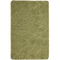 My Rug Olive.jpg