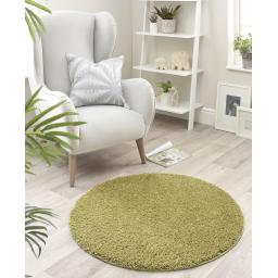 Buddy-Olive-Circle.jpg