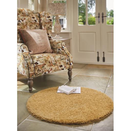 My Rug Ochre L2 (1).jpg