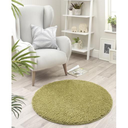 Buddy-Olive-Circle.jpg