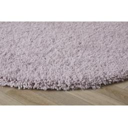 Chicago Circle Lilac D1.jpg