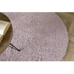 Chicago Circle Lilac D2.jpg