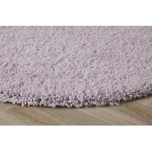 Chicago Circle Lilac D1.jpg