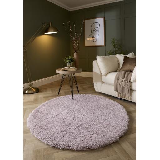 Chicago Circle Lilac L1.jpg