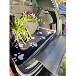 Car boot mat L9.jpg