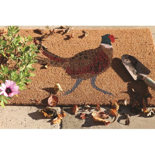 My Mat Printed Coir Pheasant Doormat in 45x75