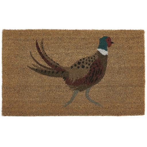 Pheasant.jpg