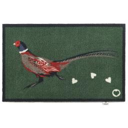 Pheasant2NEWAGAsize.jpg