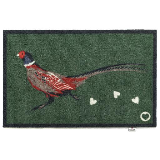Pheasant2NEWAGAsize.jpg