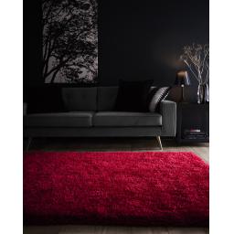 Chicago Red Rug L1.jpg