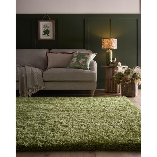 Chicago Olive Rug L1.jpg