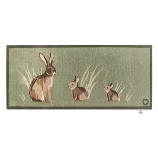 Rabbit 1 Runner.jpg
