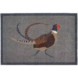 My Pheasant.jpg