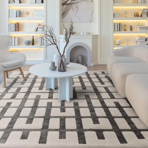 Valley Junction Geometric Stripe 3D Pattern Rug in Charcoal Ivory