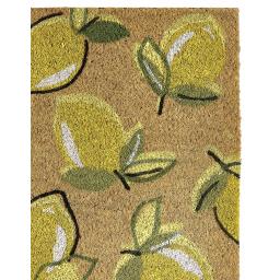 Lemon Coir D2.jpg